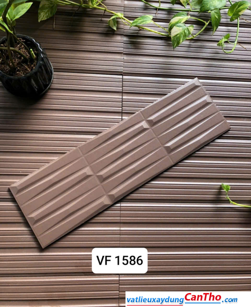 Việt Nhật VF 1586